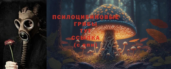 экстази Алексеевка